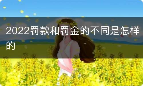 2022罚款和罚金的不同是怎样的