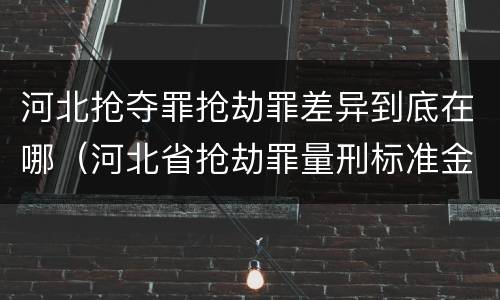 河北抢夺罪抢劫罪差异到底在哪（河北省抢劫罪量刑标准金额）