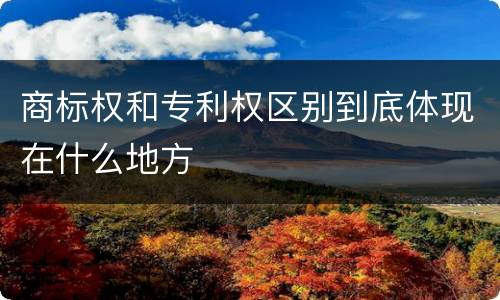 商标权和专利权区别到底体现在什么地方