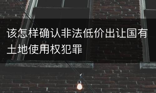 该怎样确认非法低价出让国有土地使用权犯罪