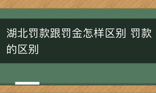 湖北罚款跟罚金怎样区别 罚款的区别