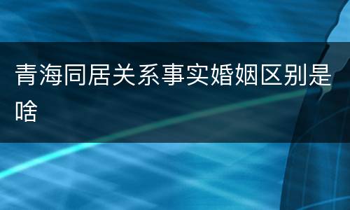 青海同居关系事实婚姻区别是啥
