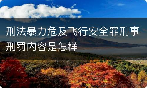 刑法暴力危及飞行安全罪刑事刑罚内容是怎样