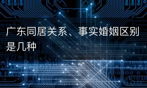 广东同居关系、事实婚姻区别是几种