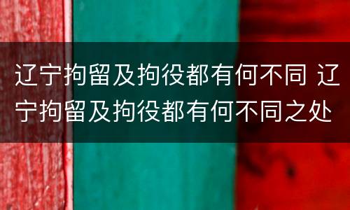 辽宁拘留及拘役都有何不同 辽宁拘留及拘役都有何不同之处