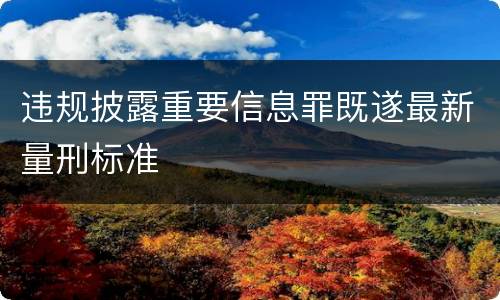 违规披露重要信息罪既遂最新量刑标准