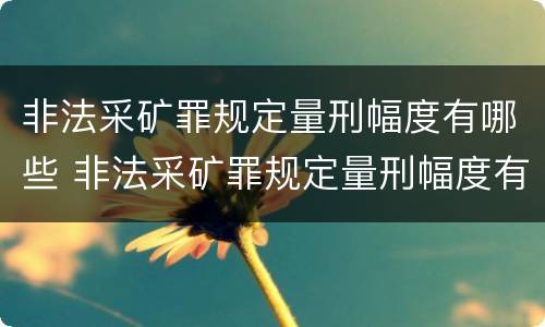 非法采矿罪规定量刑幅度有哪些 非法采矿罪规定量刑幅度有哪些标准