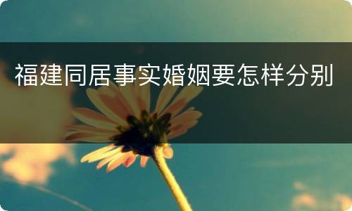 福建同居事实婚姻要怎样分别