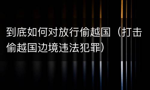 到底如何对放行偷越国（打击偷越国边境违法犯罪）