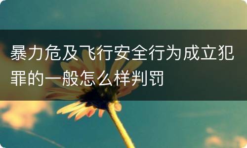 暴力危及飞行安全行为成立犯罪的一般怎么样判罚