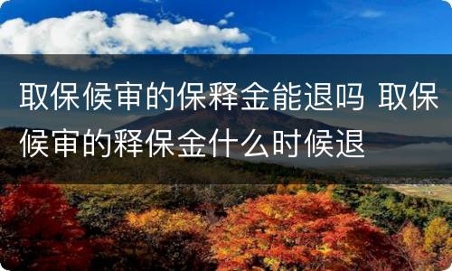 取保候审的保释金能退吗 取保候审的释保金什么时候退