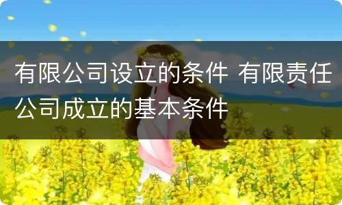 有限公司设立的条件 有限责任公司成立的基本条件