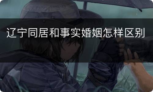 辽宁同居和事实婚姻怎样区别