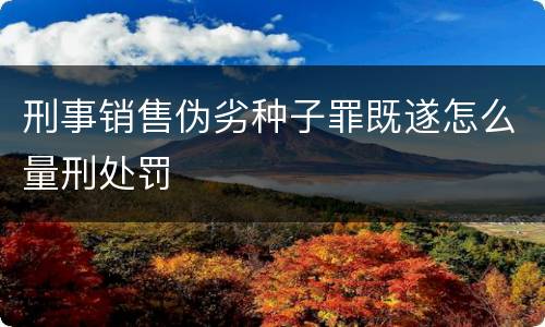 刑事销售伪劣种子罪既遂怎么量刑处罚