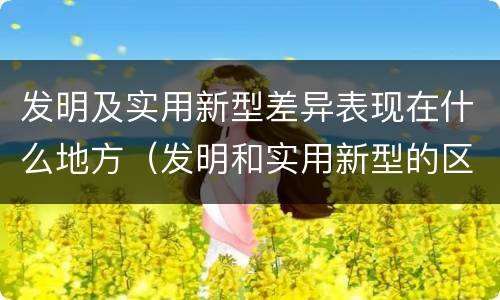 发明及实用新型差异表现在什么地方（发明和实用新型的区别和联系有什么）