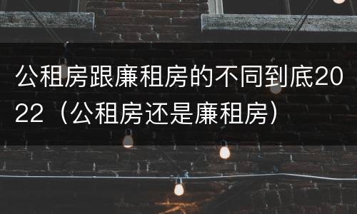 公租房跟廉租房的不同到底2022（公租房还是廉租房）