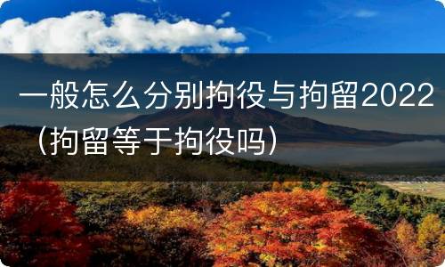 一般怎么分别拘役与拘留2022（拘留等于拘役吗）