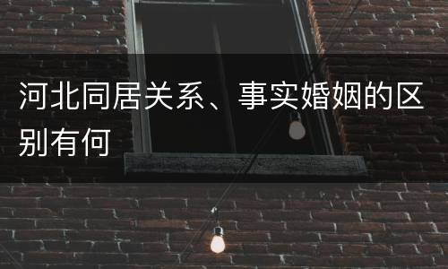 河北同居关系、事实婚姻的区别有何