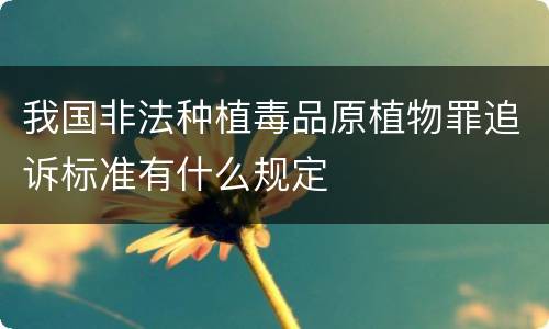 我国非法种植毒品原植物罪追诉标准有什么规定