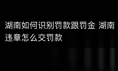 湖南如何识别罚款跟罚金 湖南违章怎么交罚款
