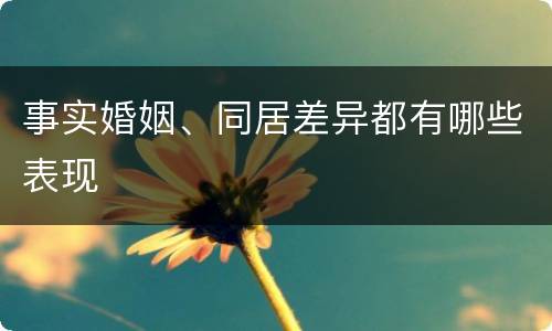 事实婚姻、同居差异都有哪些表现