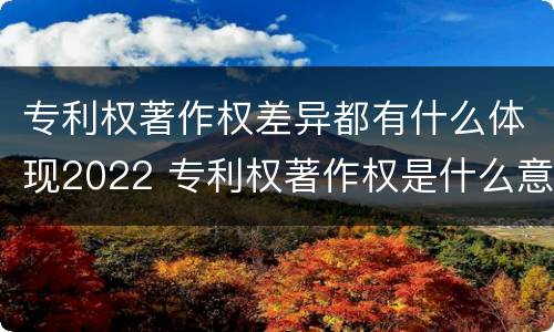 专利权著作权差异都有什么体现2022 专利权著作权是什么意思