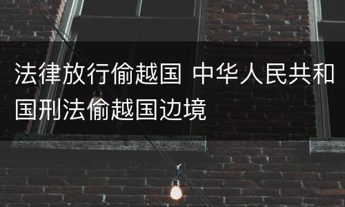 法律放行偷越国 中华人民共和国刑法偷越国边境