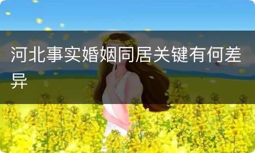 河北事实婚姻同居关键有何差异