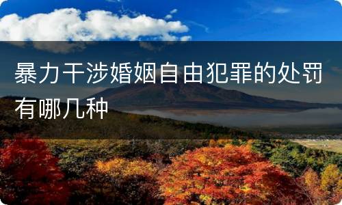 暴力干涉婚姻自由犯罪的处罚有哪几种