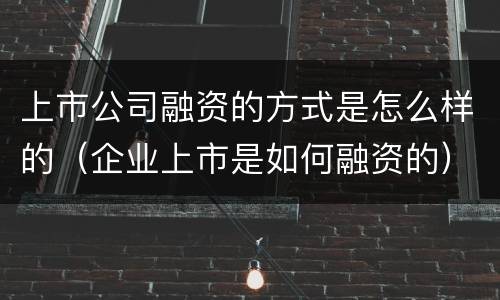 上市公司融资的方式是怎么样的（企业上市是如何融资的）