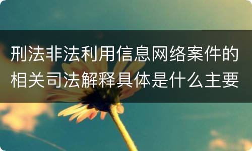 刑法非法利用信息网络案件的相关司法解释具体是什么主要规定