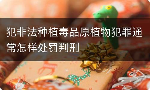 犯非法种植毒品原植物犯罪通常怎样处罚判刑