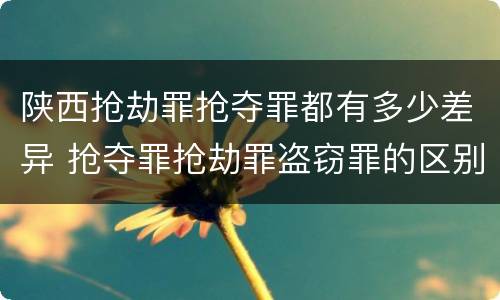 陕西抢劫罪抢夺罪都有多少差异 抢夺罪抢劫罪盗窃罪的区别