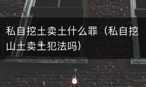 私自挖土卖土什么罪（私自挖山土卖土犯法吗）