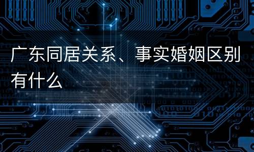 广东同居关系、事实婚姻区别有什么