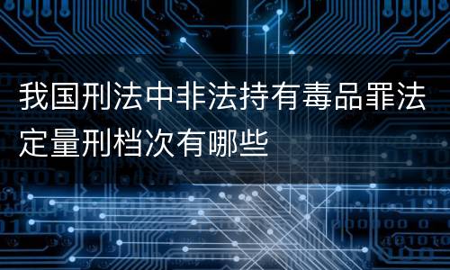 我国刑法中非法持有毒品罪法定量刑档次有哪些