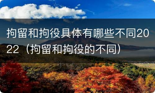 拘留和拘役具体有哪些不同2022（拘留和拘役的不同）