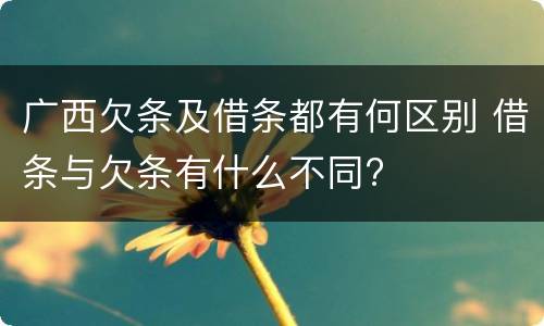 广西欠条及借条都有何区别 借条与欠条有什么不同?