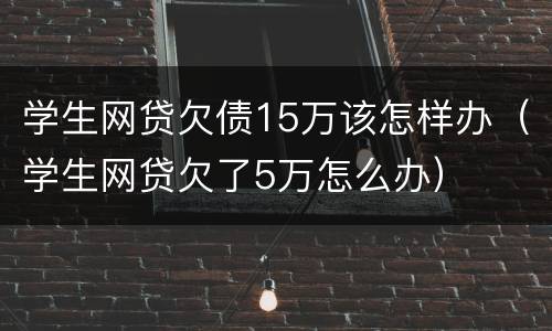 学生网贷欠债15万该怎样办（学生网贷欠了5万怎么办）
