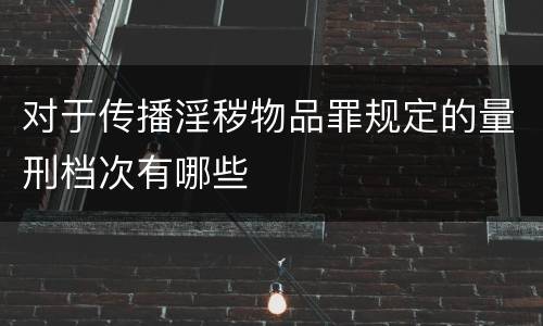 对于传播淫秽物品罪规定的量刑档次有哪些