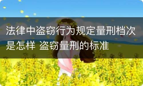 法律中盗窃行为规定量刑档次是怎样 盗窃量刑的标准