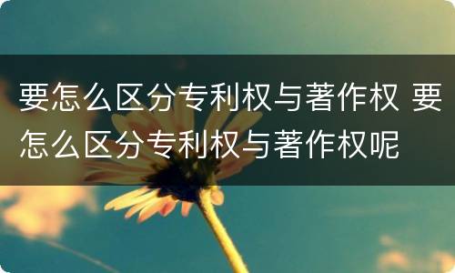 要怎么区分专利权与著作权 要怎么区分专利权与著作权呢