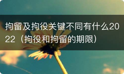 拘留及拘役关键不同有什么2022（拘役和拘留的期限）
