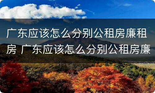 广东应该怎么分别公租房廉租房 广东应该怎么分别公租房廉租房和商品房