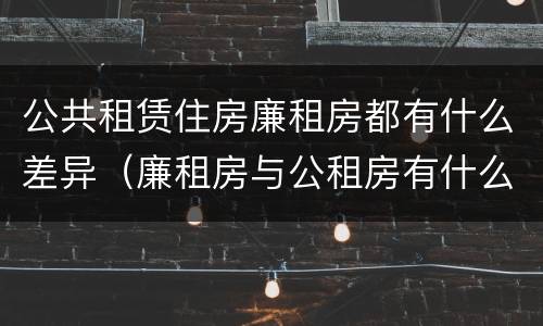 公共租赁住房廉租房都有什么差异（廉租房与公租房有什么不同）