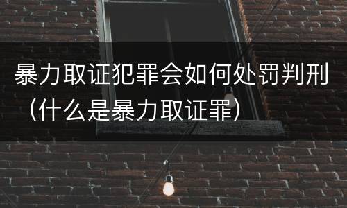 暴力取证犯罪会如何处罚判刑（什么是暴力取证罪）