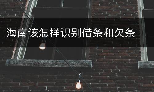 海南该怎样识别借条和欠条