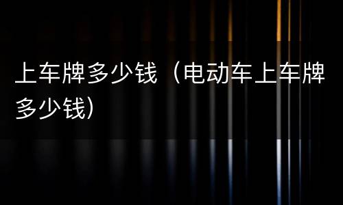 上车牌多少钱（电动车上车牌多少钱）