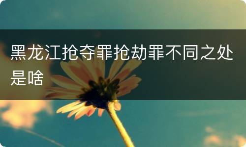 黑龙江抢夺罪抢劫罪不同之处是啥