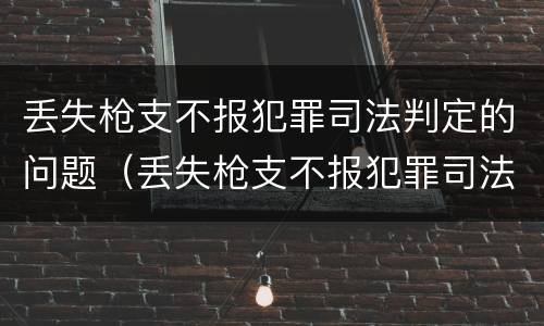 丢失枪支不报犯罪司法判定的问题（丢失枪支不报犯罪司法判定的问题有哪些）